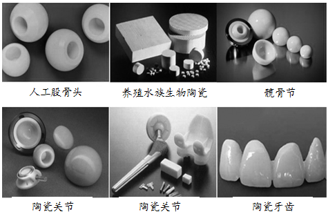 正在進入我們身體的生物陶瓷 特種建材的醫學新篇章