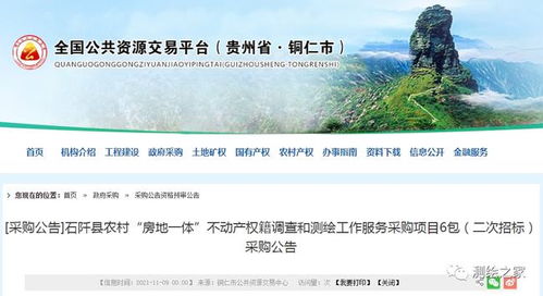 關(guān)于1980萬元農(nóng)村房地一體不動產(chǎn)權(quán)籍調(diào)查和測繪工作服務(wù)采購項目（6包）二次招標(biāo)采購公告的解讀