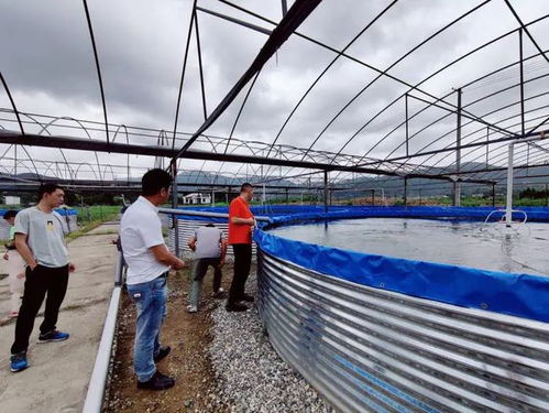 臺風(fēng)“煙花”來襲，三門縣快速行動確保畜牧漁業(yè)飼料供應(yīng)穩(wěn)定