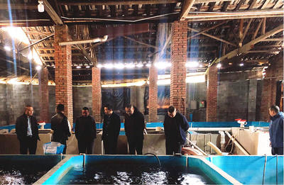 懷化市畜牧水產事務中心調研芷江漁業產業鏈發展，探索汽車裝飾用品跨界融合新機遇